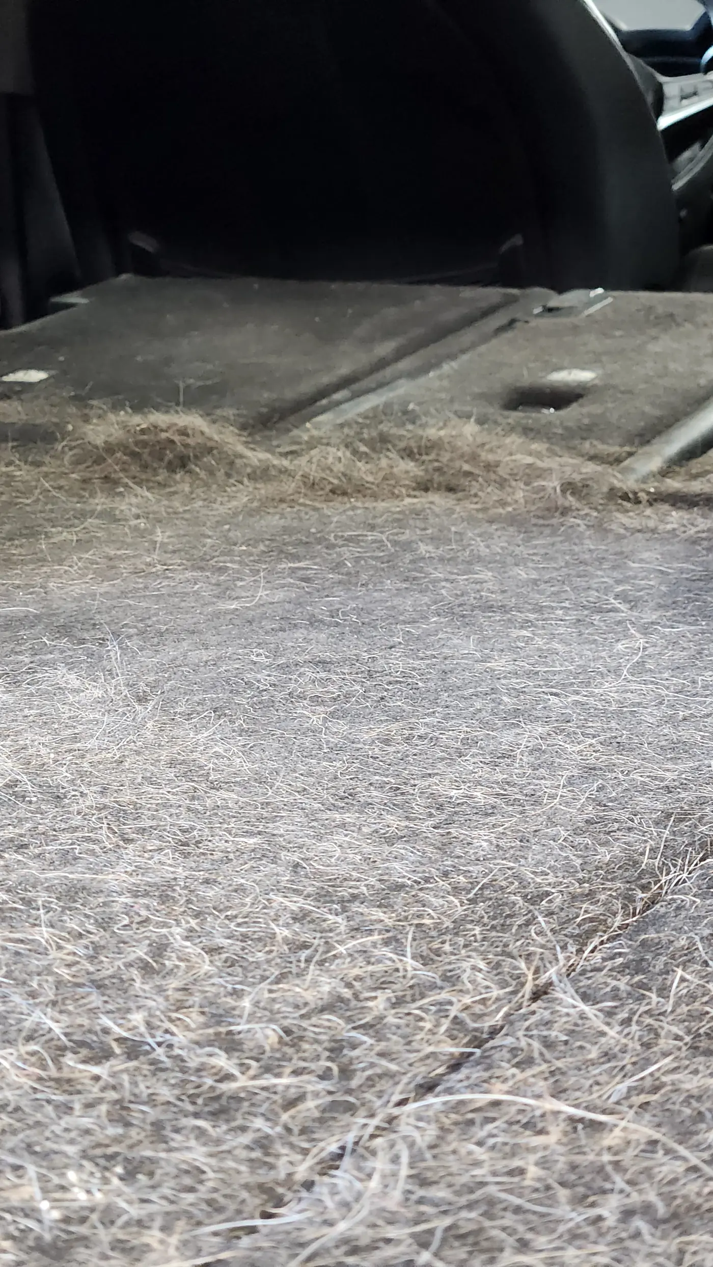 Floor mats heavily soiled
