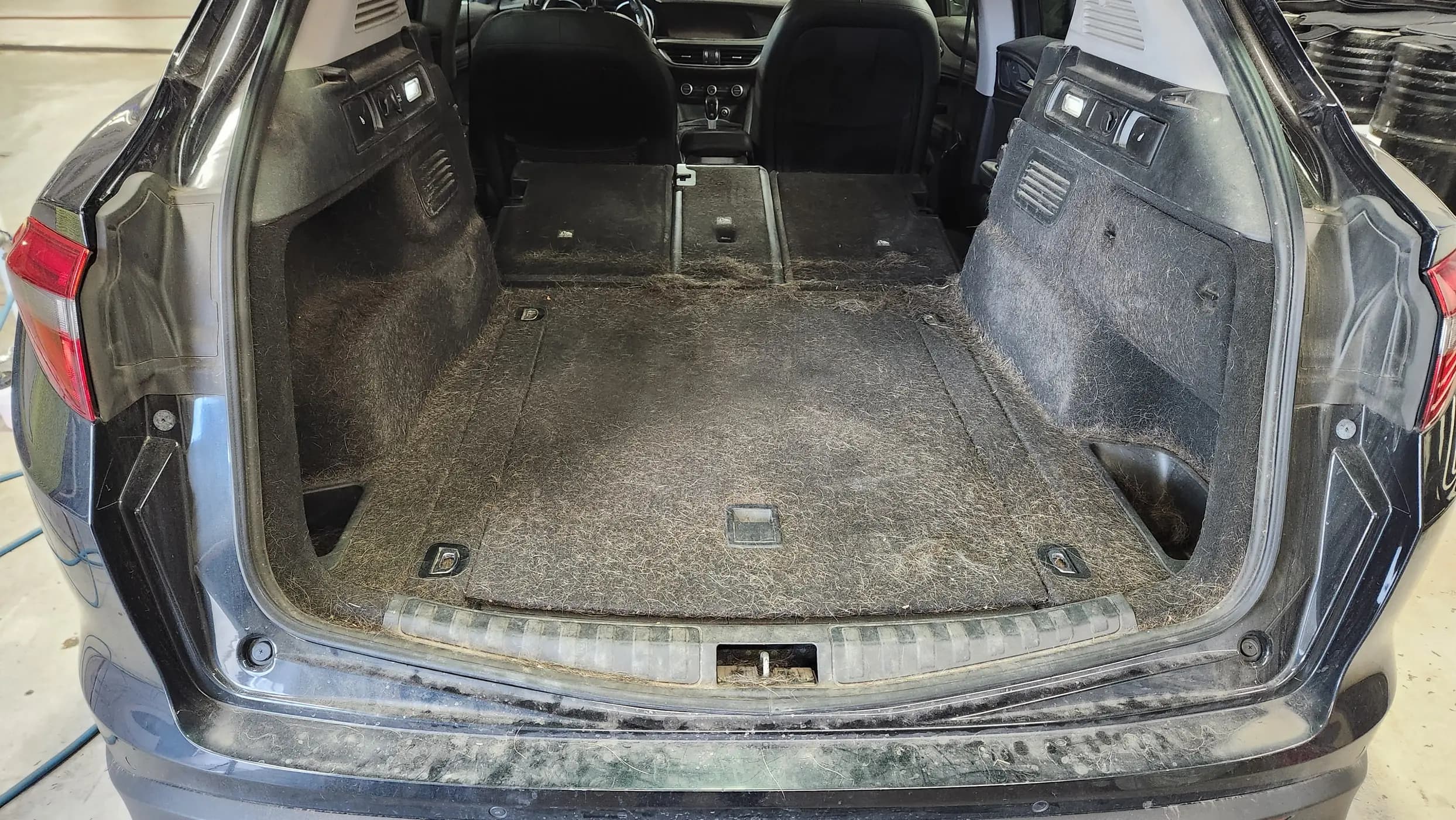 Alfa Romeo Stelvio trunk filled with pet hair before detail